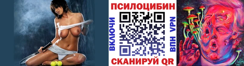 как найти наркотики  Межгорье  Псилоцибиновые грибы Cubensis 